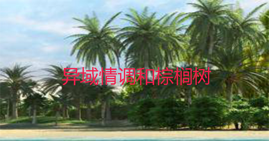 https://apps-prod.oss-cn-beijing.aliyuncs.com/sw-software/image/1908/d33fca4a9e4bc52e4813c4bf63697471.jpg